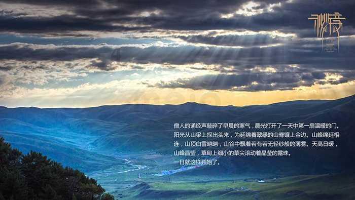 可爱猫咪救援